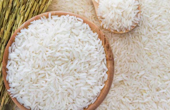 صادر کننده برنج ایرانی دانه بلند مرغوب