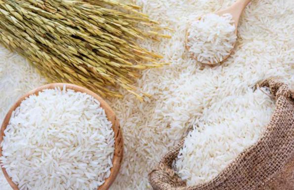 معرفی انواع برنج مرغوب شمال