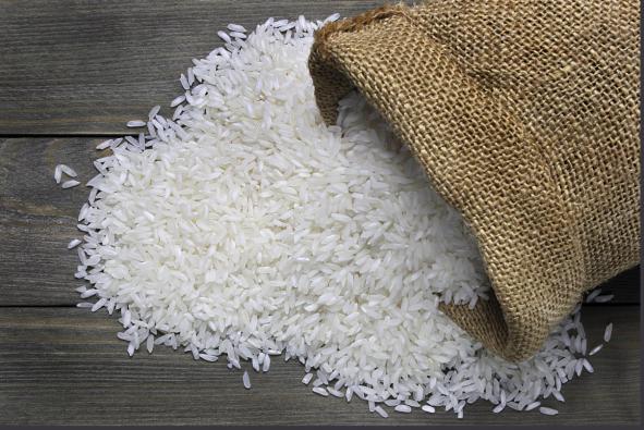 تولید برنج مرغوب شمال