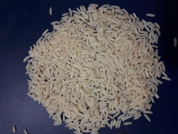 عرضه مستقیم برنج شمال عمده