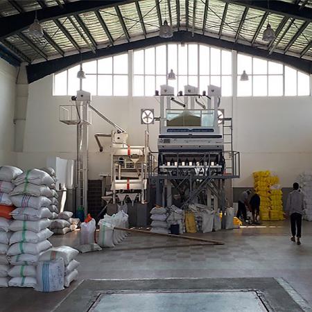 کارخانه تولید برنج ایرانی خالص کیلویی