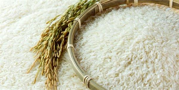 مشخصات انواع برنج خوب ایرانی