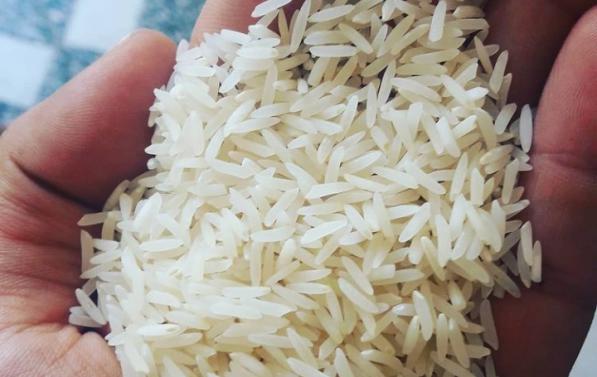 فروش مستقیم برنج ایرانی دانه بلند صادراتی